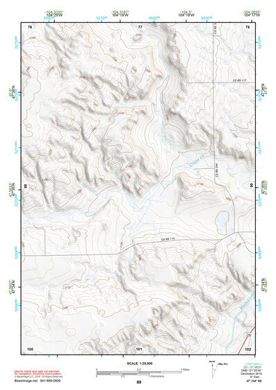 47104NE Page 89 Sidney Topo Preview 1