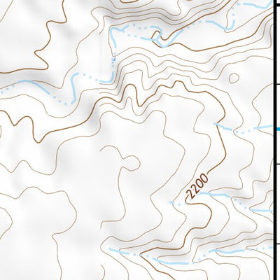 47104NE Page 99 Sidney Topo Preview 3