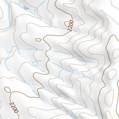 47104NW Page 4 Sidney Topo Preview 3