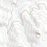 47104NW Page 16 Sidney Topo Preview 3