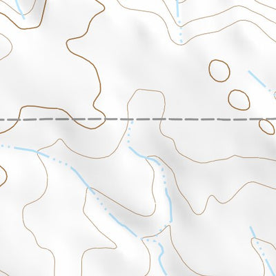 47104NW Page 46 Sidney Topo Preview 2