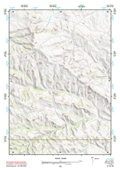 47104NW Page 77 Sidney Topo Preview 1