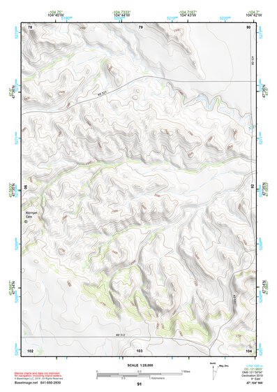 47104NW Page 91 Sidney Topo Preview 1