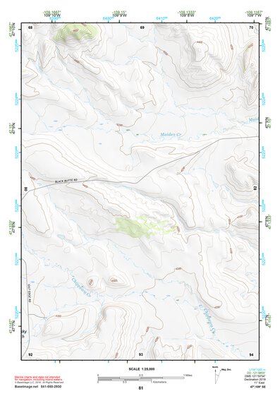 47109SE Page 81 Lewistown Topo Preview 1