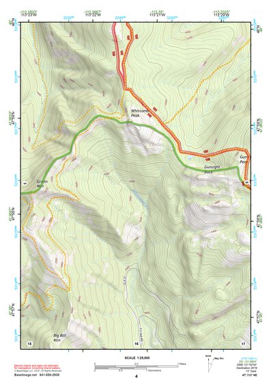 47113NE Page 4 Swan Peak Topo Preview 1