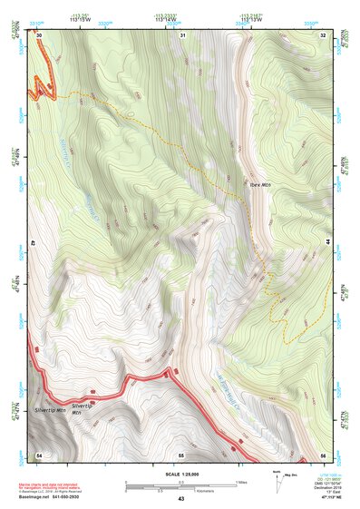 47113NE Page 43 Swan Peak Topo Preview 1