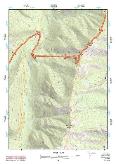 47113NE Page 49 Swan Peak Topo Preview 1
