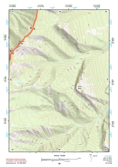 47113NE Page 50 Swan Peak Topo Preview 1