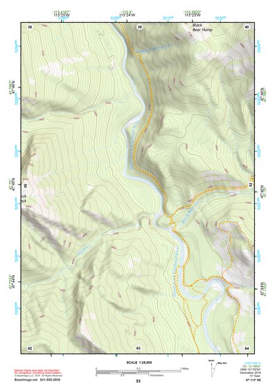 47113NE Page 51 Swan Peak Topo Preview 1