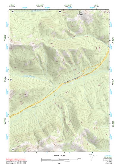 47113NE Page 60 Swan Peak Topo Preview 1