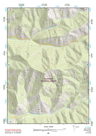 47113NE Page 65 Swan Peak Topo Preview 1