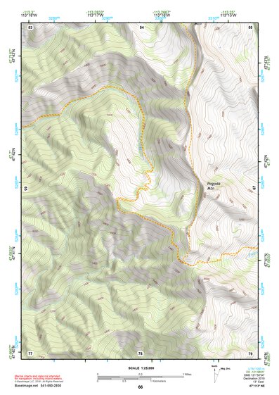 47113NE Page 66 Swan Peak Topo Preview 1