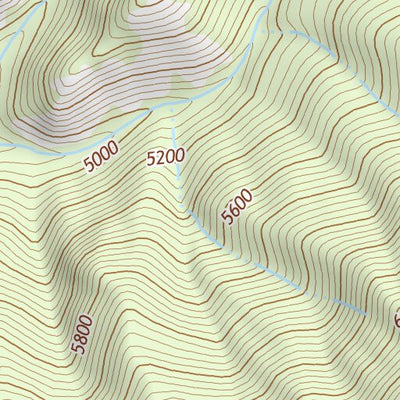 47113NE Page 66 Swan Peak Topo Preview 3