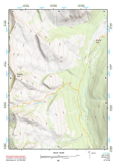 47113NE Page 67 Swan Peak Topo Preview 1