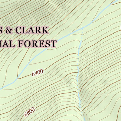 47113NE Page 69 Swan Peak Topo Preview 3