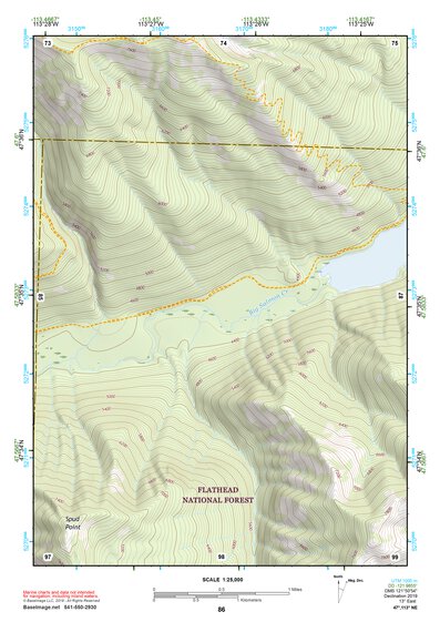 47113NE Page 86 Swan Peak Topo Preview 1