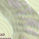 47113NE Page 86 Swan Peak Topo Preview 3