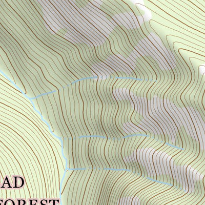 47113NE Page 86 Swan Peak Topo Preview 3