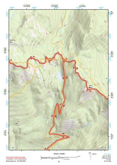 47113NW Page 5 Swan Peak Topo Preview 1