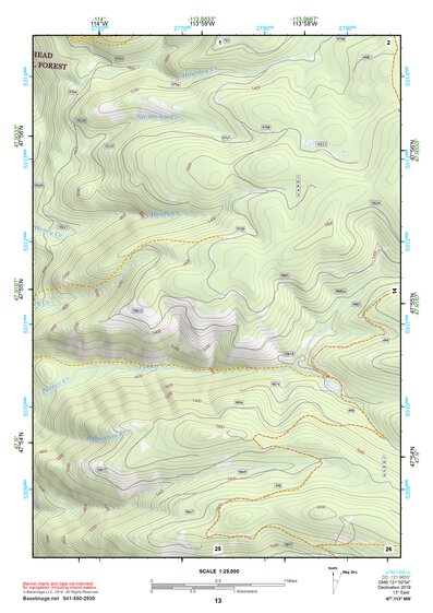 47113NW Page 13 Swan Peak Topo Preview 1