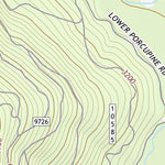47113NW Page 28 Swan Peak Topo Preview 3