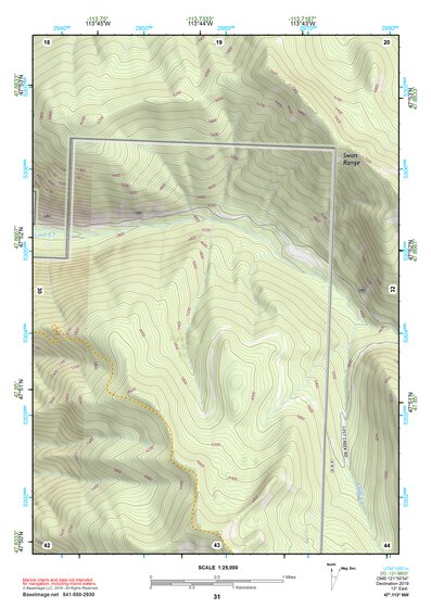 47113NW Page 31 Swan Peak Topo Preview 1
