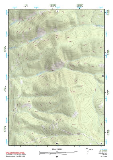 47113NW Page 37 Swan Peak Topo Preview 1