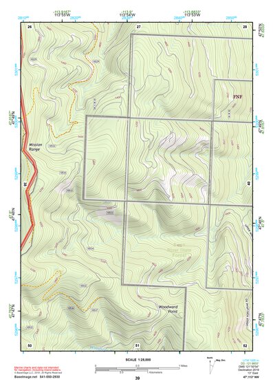 47113NW Page 39 Swan Peak Topo Preview 1