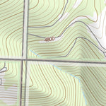 47113NW Page 39 Swan Peak Topo Preview 2