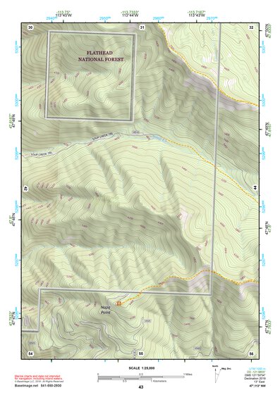 47113NW Page 43 Swan Peak Topo Preview 1