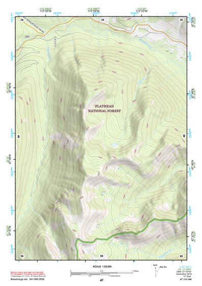 47113NW Page 47 Swan Peak Topo Preview 1