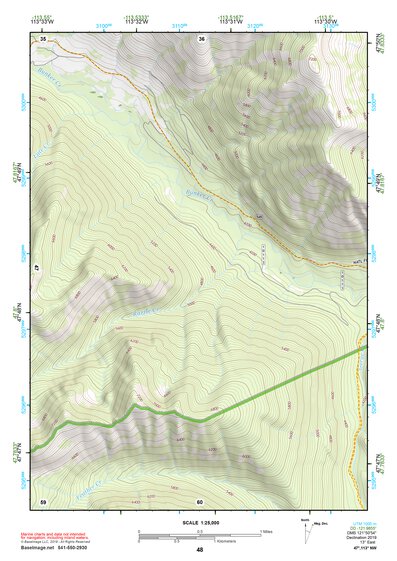 47113NW Page 48 Swan Peak Topo Preview 1