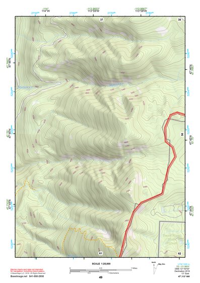 47113NW Page 49 Swan Peak Topo Preview 1