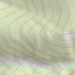 47113NW Page 49 Swan Peak Topo Preview 2