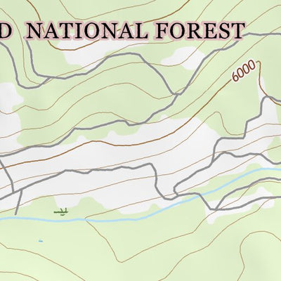 47113NW Page 50 Swan Peak Topo Preview 2