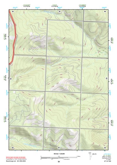 47113NW Page 51 Swan Peak Topo Preview 1