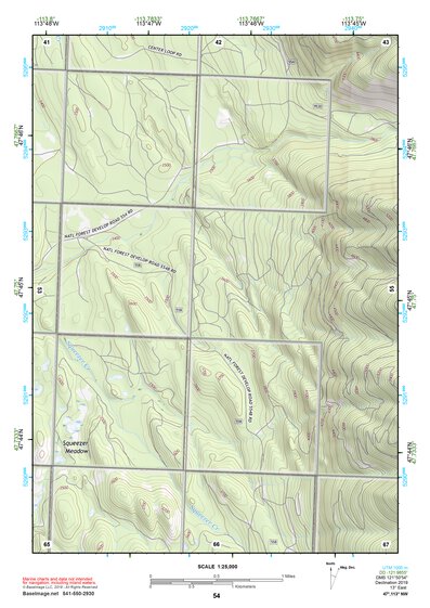 47113NW Page 54 Swan Peak Topo Preview 1