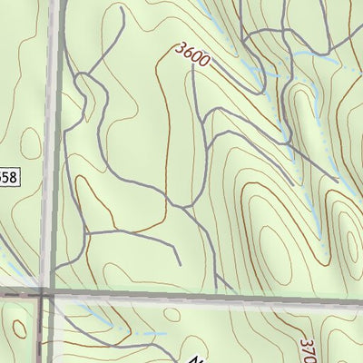 47113NW Page 54 Swan Peak Topo Preview 2