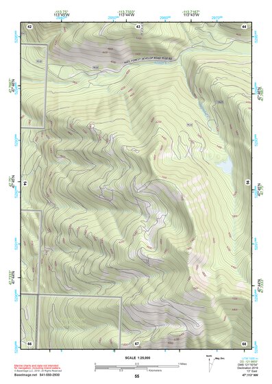 47113NW Page 55 Swan Peak Topo Preview 1