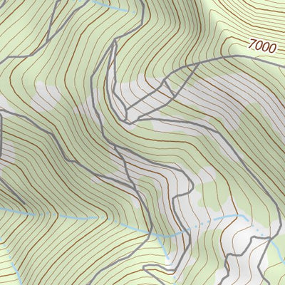 47113NW Page 55 Swan Peak Topo Preview 2