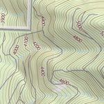 47113NW Page 55 Swan Peak Topo Preview 3