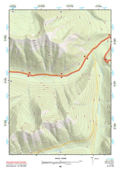 47113NW Page 60 Swan Peak Topo Preview 1