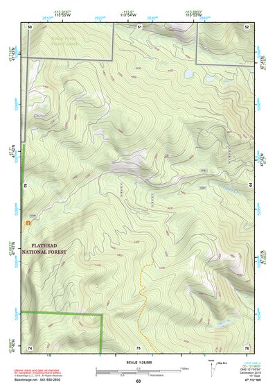 47113NW Page 63 Swan Peak Topo Preview 1