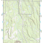 47113NW Page 65 Swan Peak Topo Preview 1