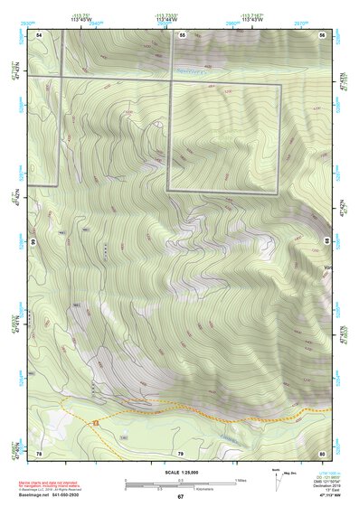 47113NW Page 67 Swan Peak Topo Preview 1