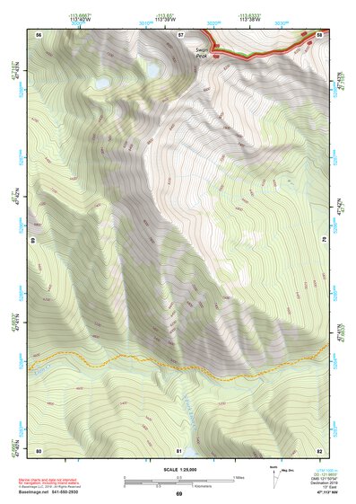 47113NW Page 69 Swan Peak Topo Preview 1