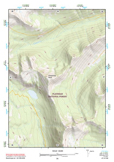 47113NW Page 71 Swan Peak Topo Preview 1