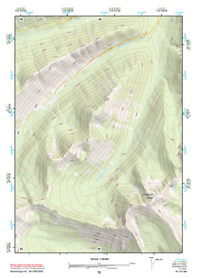 47113NW Page 72 Swan Peak Topo Preview 1