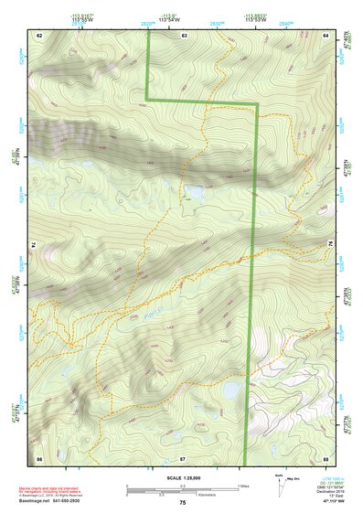 47113NW Page 75 Swan Peak Topo Preview 1
