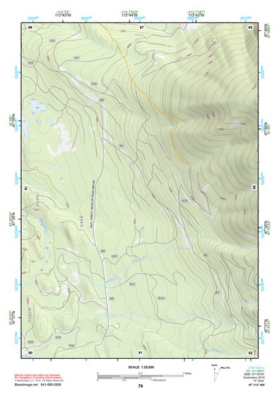 47113NW Page 79 Swan Peak Topo Preview 1
